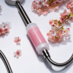 H201-cherry-blossom-out